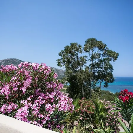 La Citadelle * Saint-Florent (Corsica)